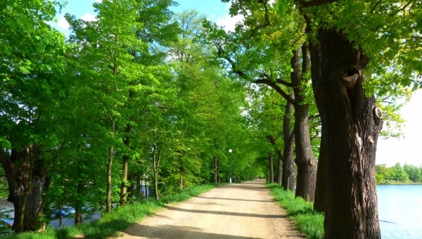 Cyklostezky Třeboňsko, Novohradsko